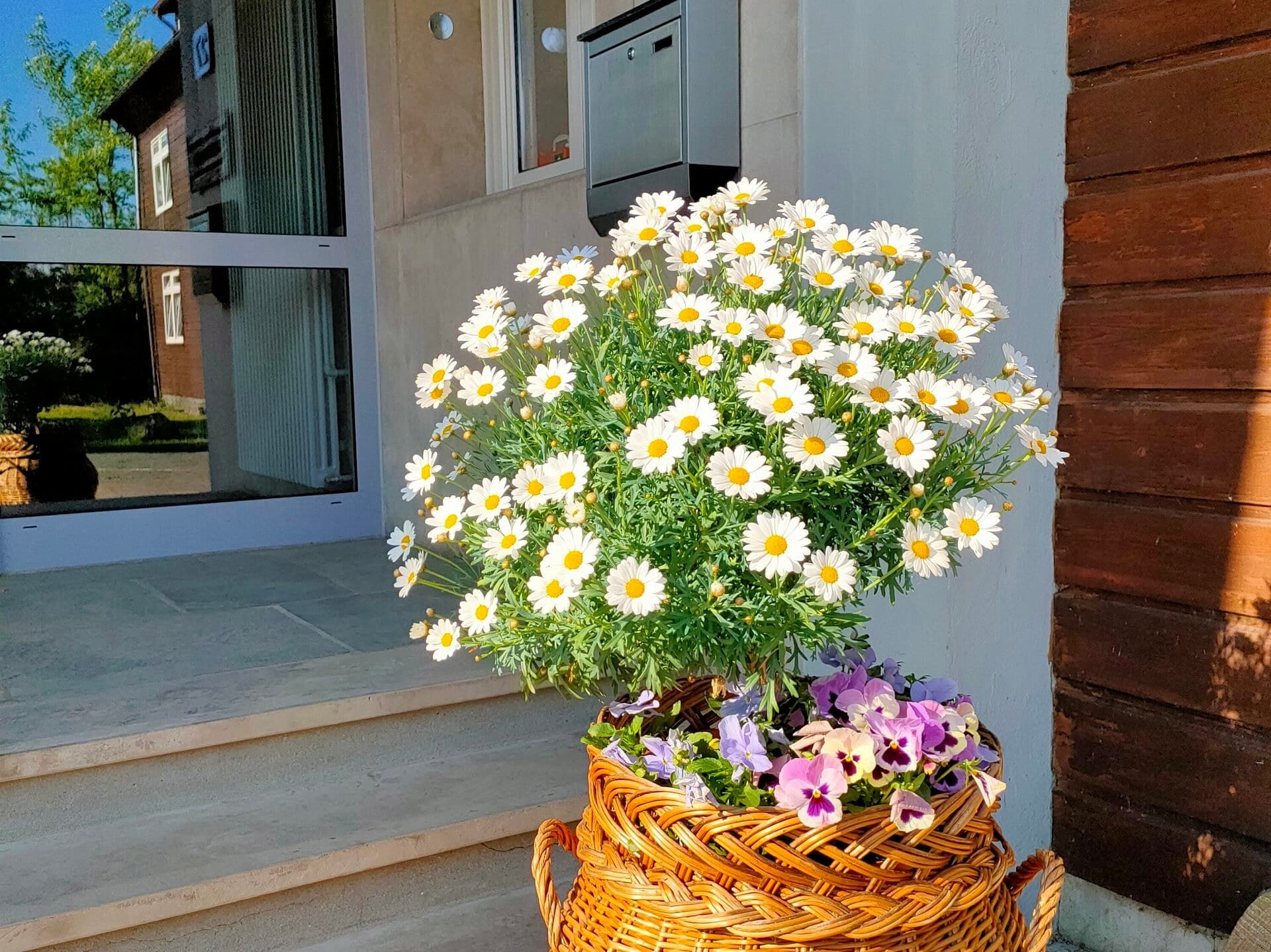 Blumengeschmückter Eingang von Haus Berlin in Hohegeiß