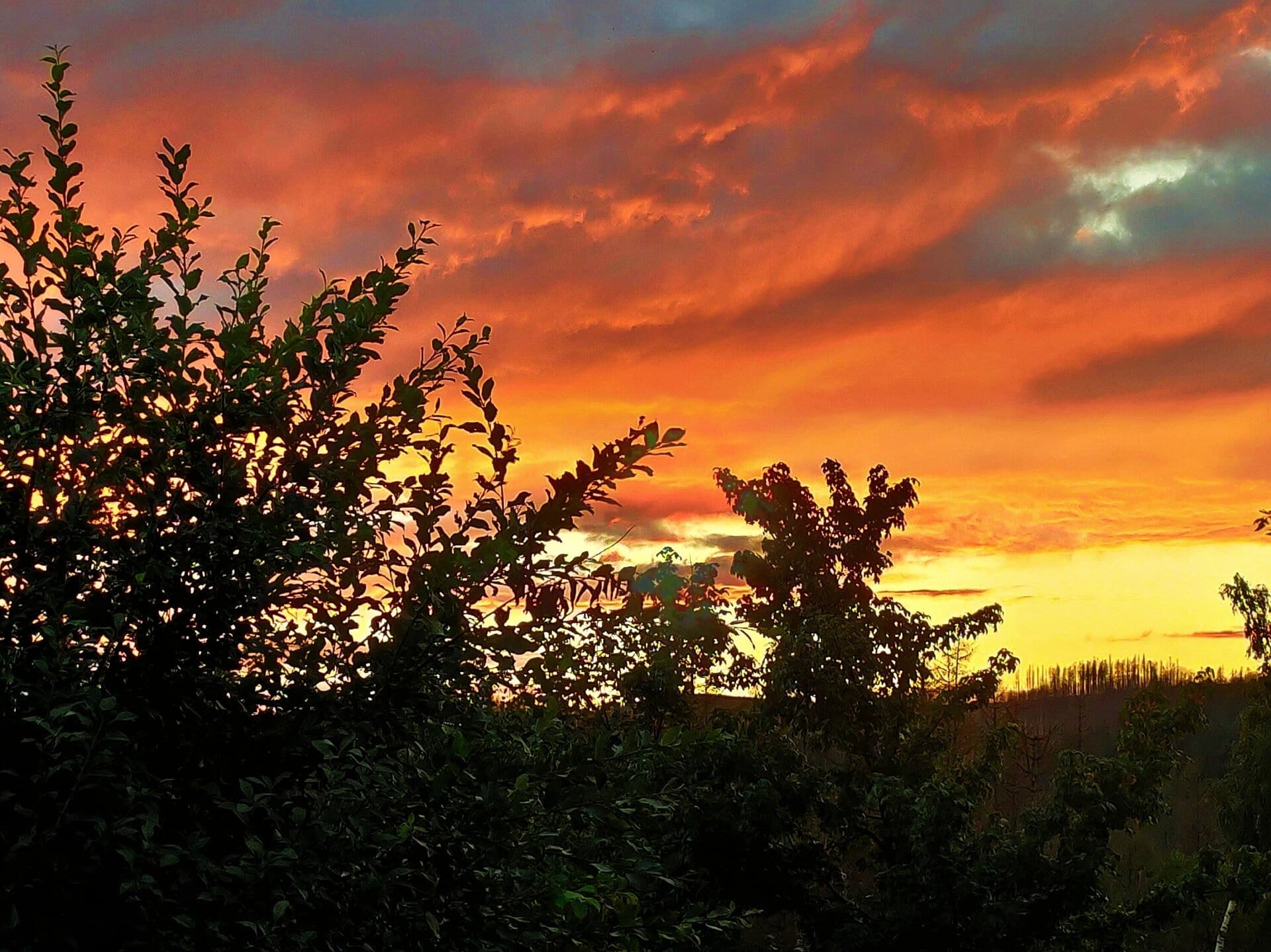 Sonnenuntergang über Hohegeiß im Harz